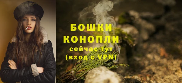 молекула духа Медногорск