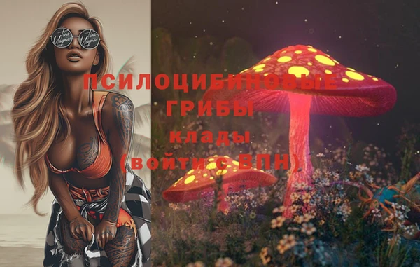 молекула духа Медногорск