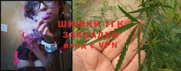 молекула духа Медногорск