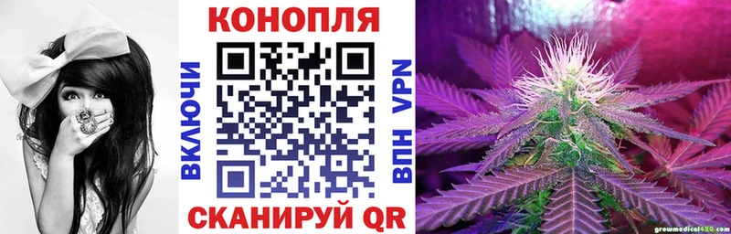 Купить закладки  Первоуральск  Бошки марихуана Amnesia 